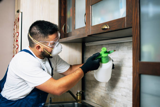 Best Best Pest Control Companies  in Stanley, WI