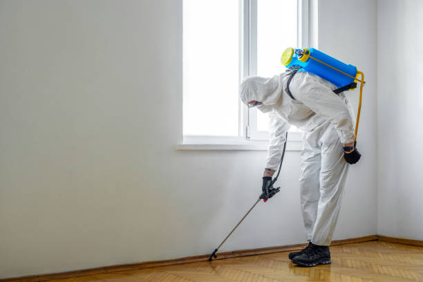 Best Wildlife Control Services  in Stanley, WI