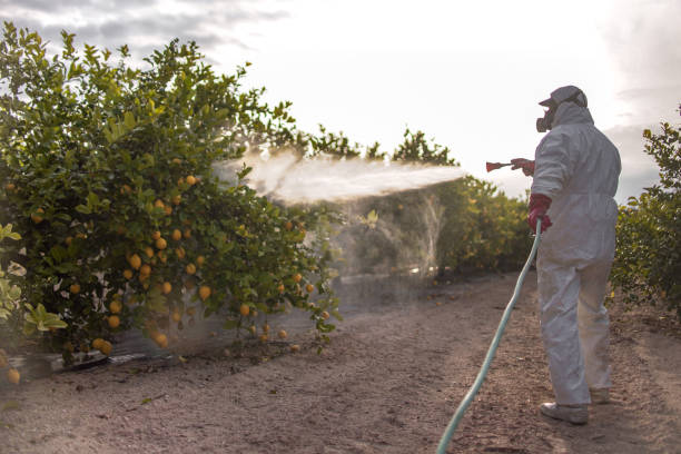 Best Residential Pest Control  in Stanley, WI