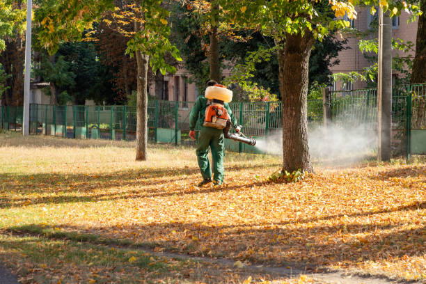 Best Affordable Exterminators  in Stanley, WI