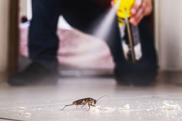 Best Pest Prevention Services  in Stanley, WI