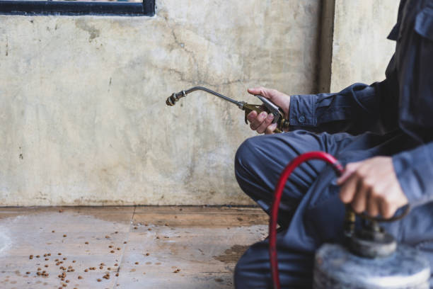 Best Flea Control Services  in Stanley, WI